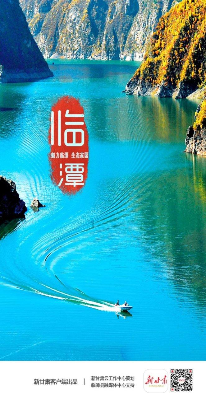逃离金色蜜蜂森林