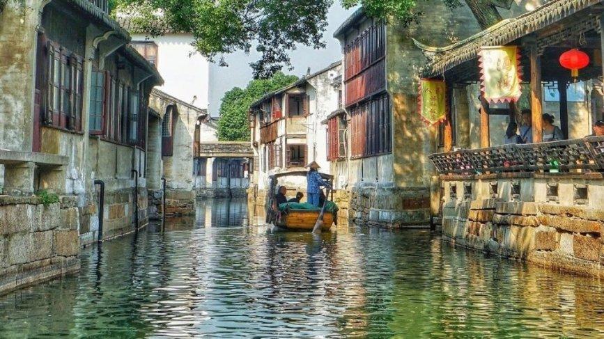 一份钱干两件事　松树“防癌”有妙招
