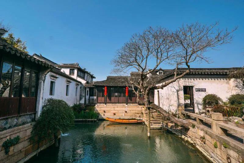 CBA全明星替补阵容公布：林葳王哲林入选，南区坐拥三大优势