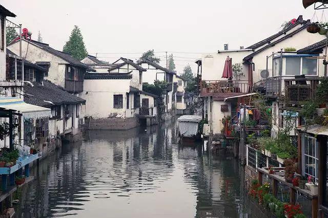 擀饺子皮的面团要不要醒面？如果要要醒多久呢？游戏画面